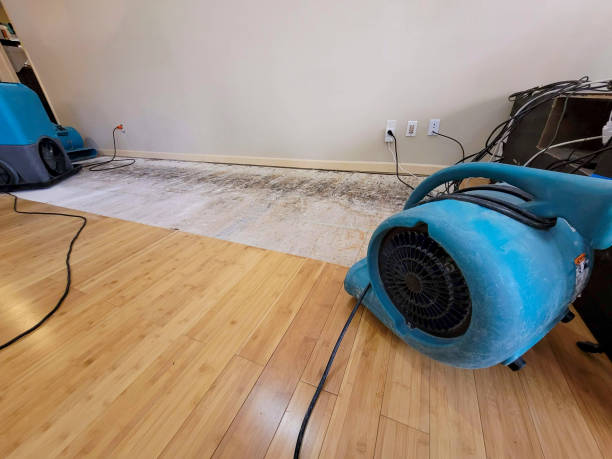 Professional Sewage Cleanup technician working in Oakland, MO